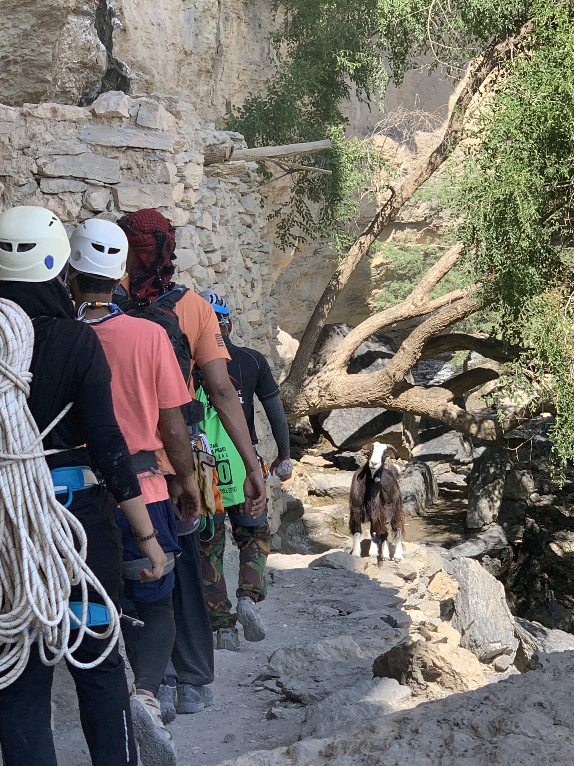 Trek et randonnées