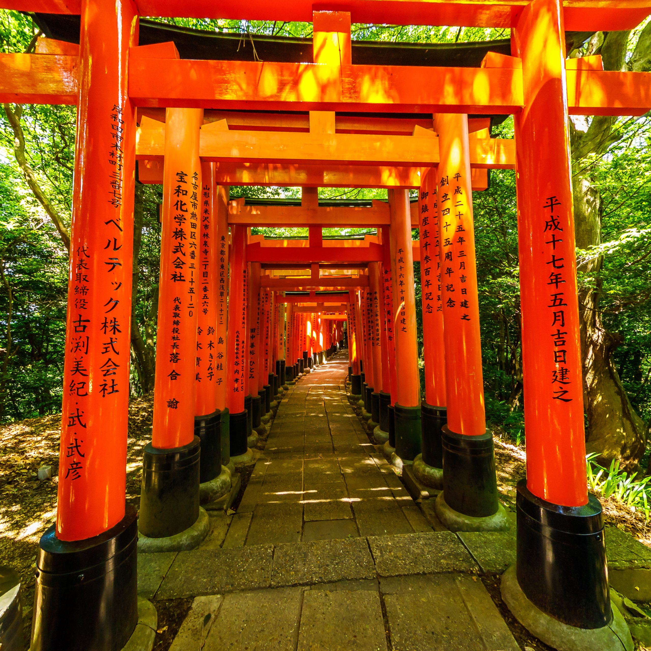Le sanctuaire de Fushimi Inari