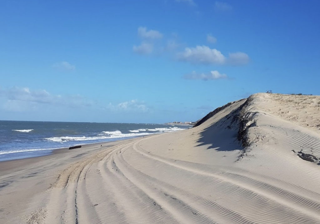 Entre plages et dunes