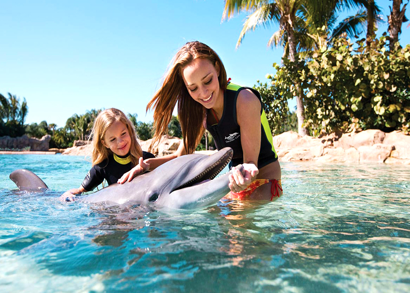 Rencontre avec les dauphins à Orlando