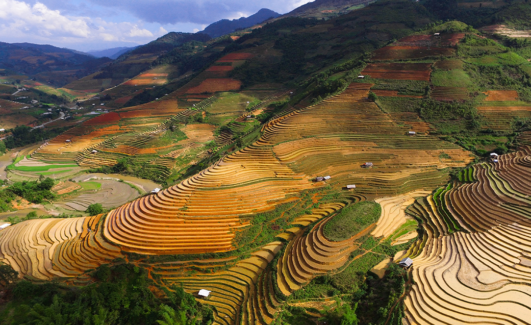 Rizières en terrasses du Nord Vietnam, voyage au Vietnam avec Nirvatravel