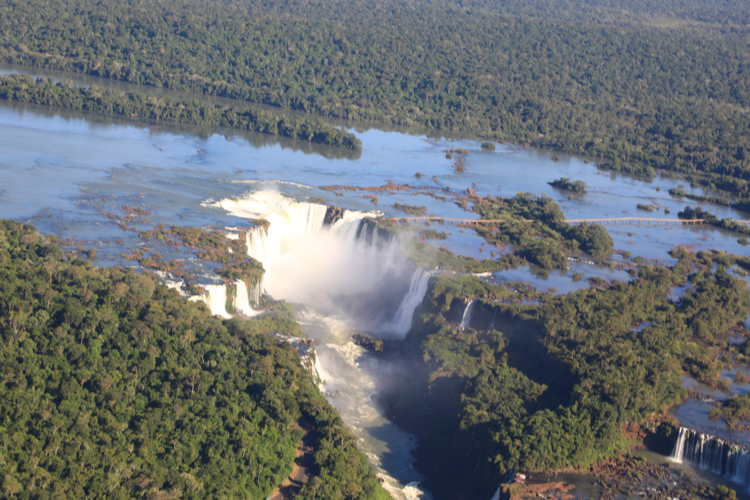 Visite du parc des Oiseaux à Foz do Iguaçu