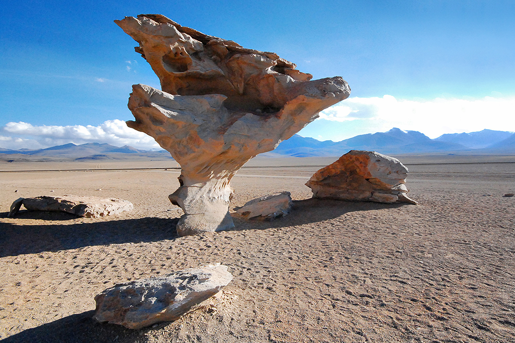 Arbre de Pierre le désert de Lipez, voyage dans le Sud de la Bolivie avec Nirvatravel