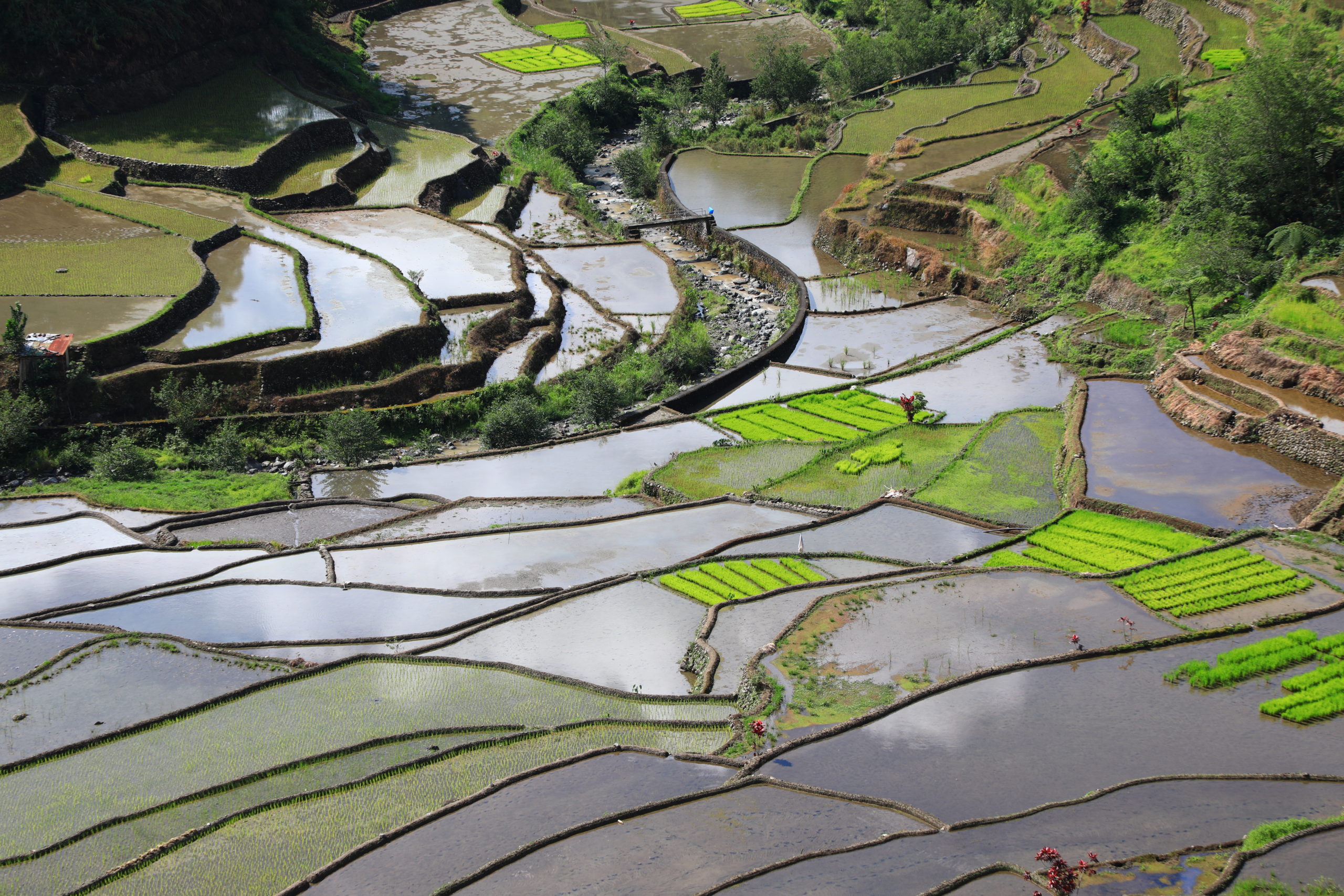 Circuit à Batad aux Philippines avec Nirvatravel