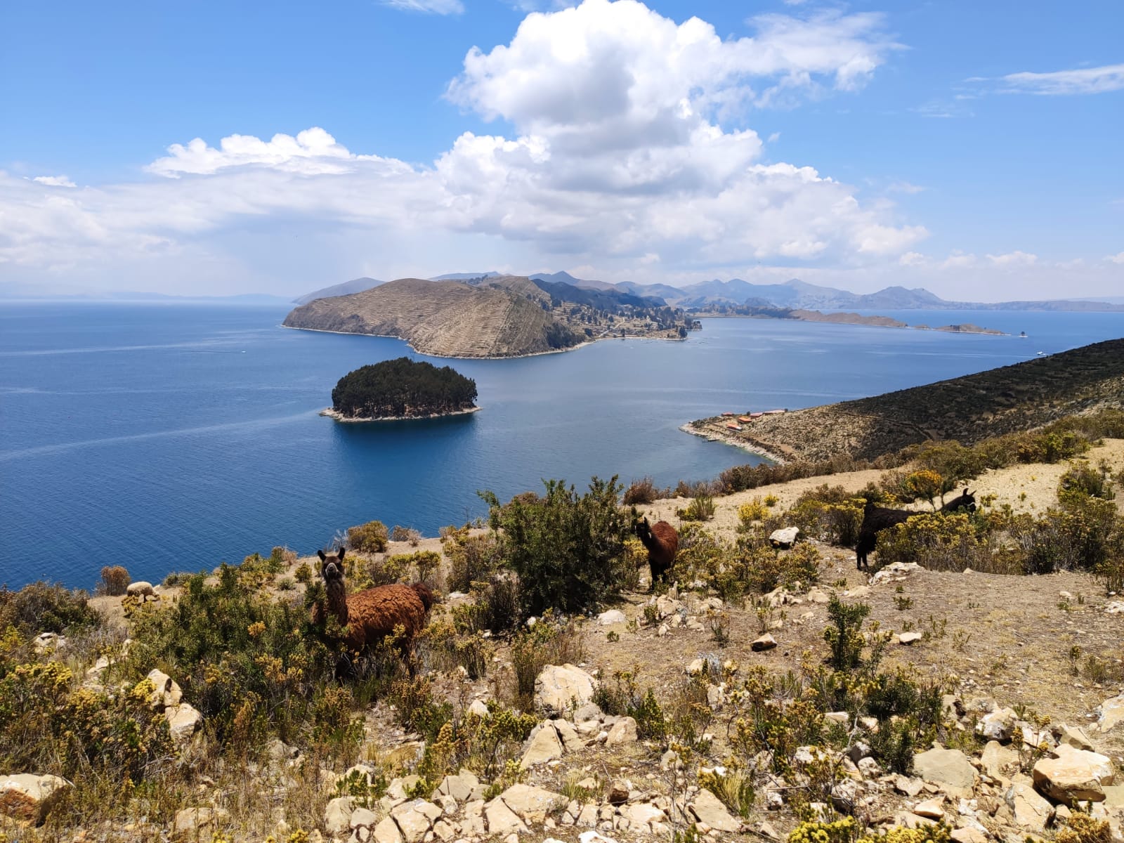Traversée du lac Titicaca pour les ruines de Chincana sur l'ile du Soleil 