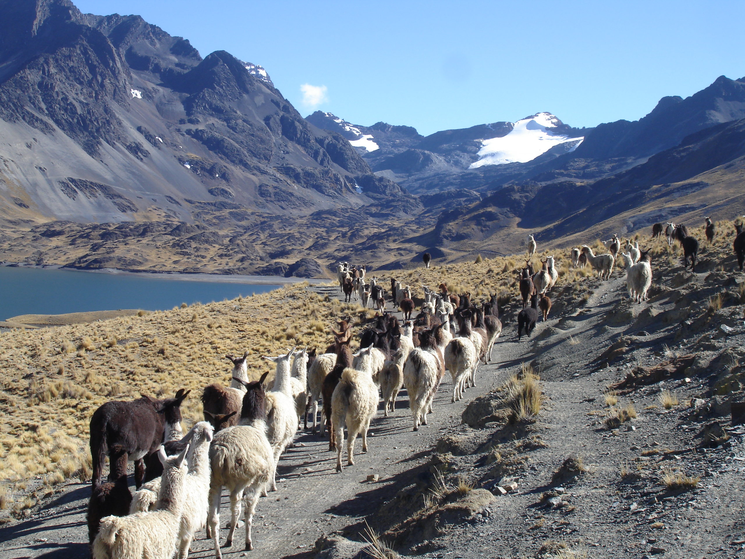 voyage bolivie 15 jours