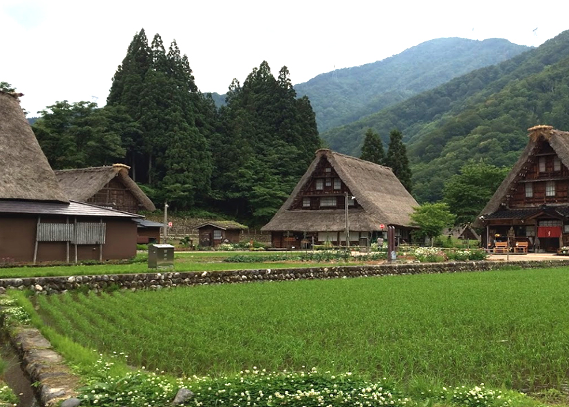 Les maisons traditionnelles en chaume de Gokayama