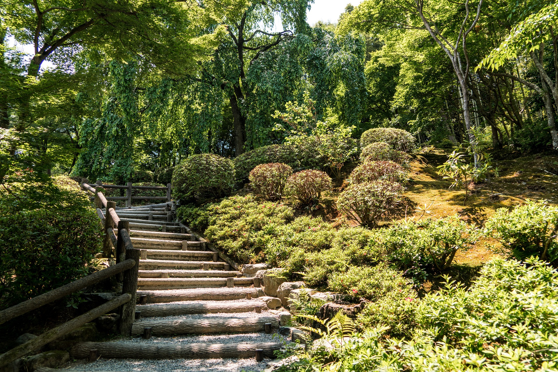 Les jardins d'Arashiyama
