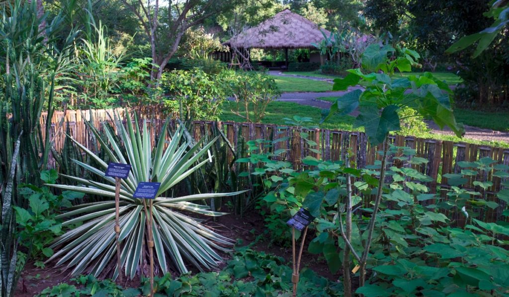 Jardin botanique de Pha Tad Ke