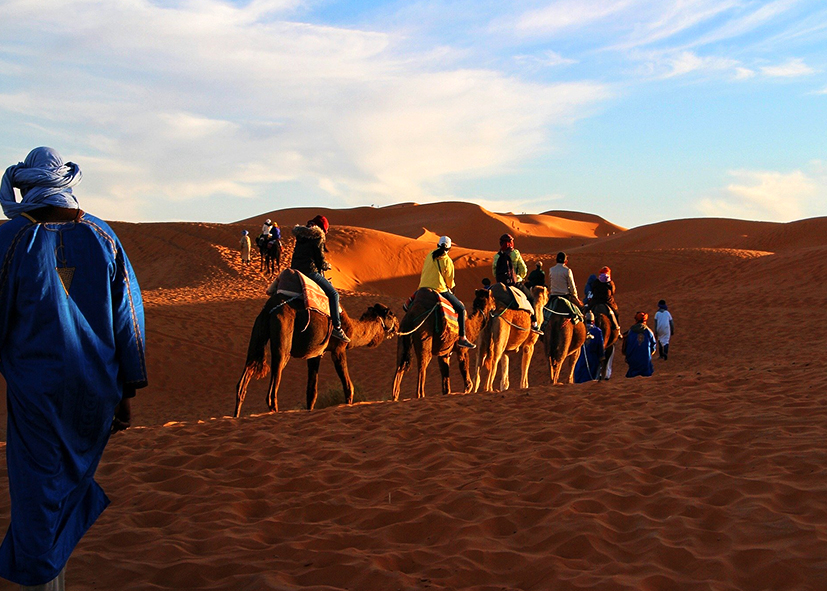 Dromadaires dans les dunes du Draa, randonnée chamelière au Maroc avec Nirvatravel