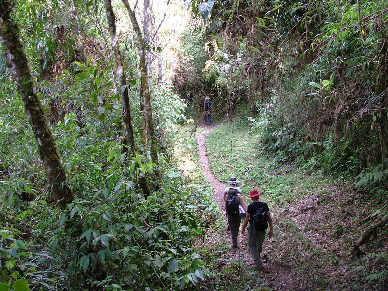 voyage bolivie 15 jours