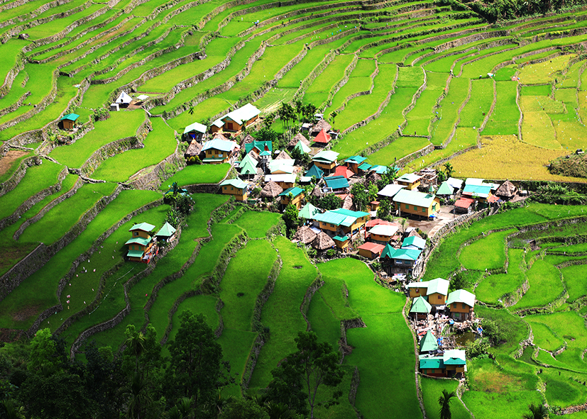 Journée découverte des rizières en terrasses de Banaue