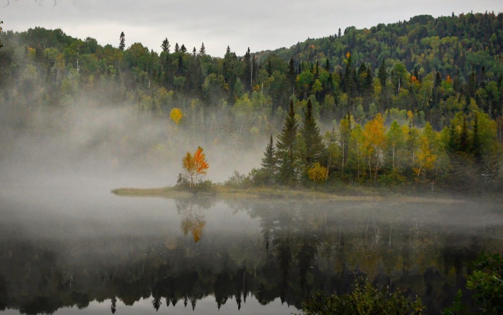 Journée découverte du parc national de Mauricie