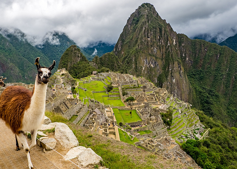 Visite du site Inca du Machu Picchu