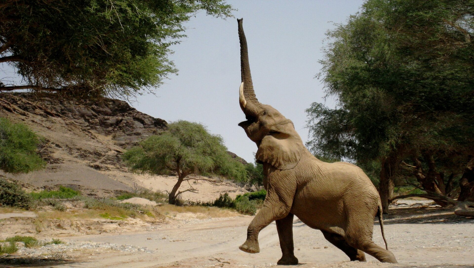 Direction le Damaraland