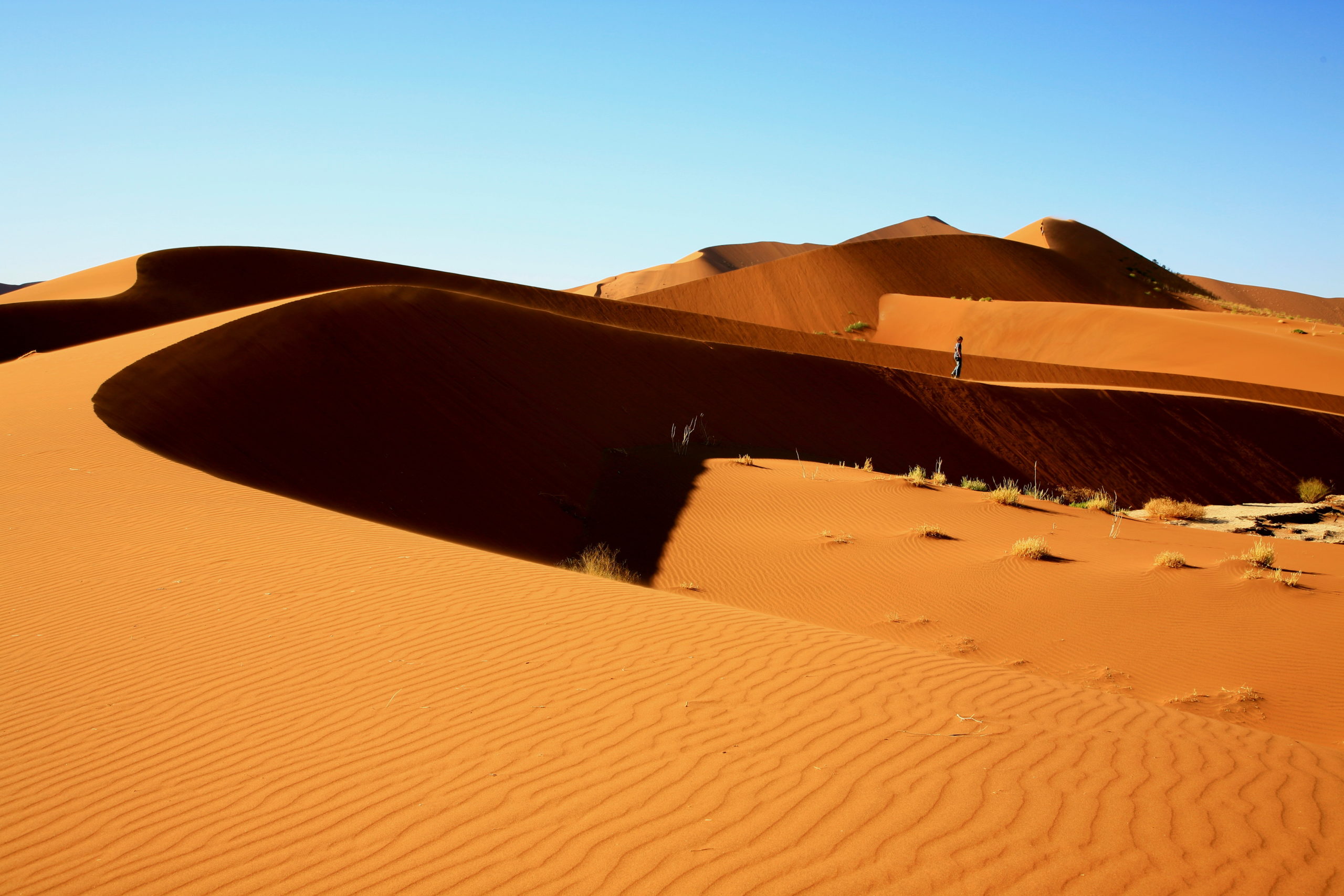 Découverte du désert du Namib