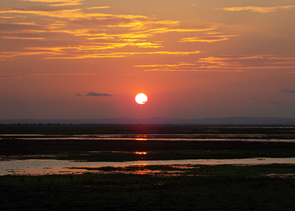 Safari au coucher du soleil à Gorongosa