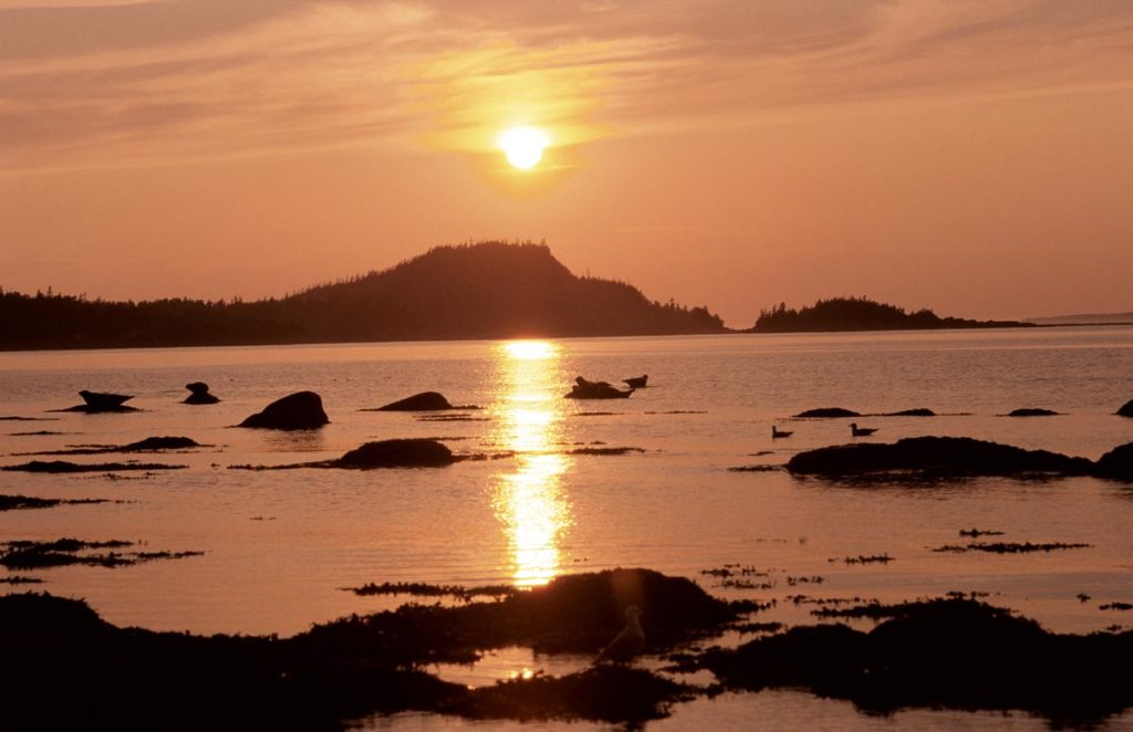 Journée dans le Parc du Bic 