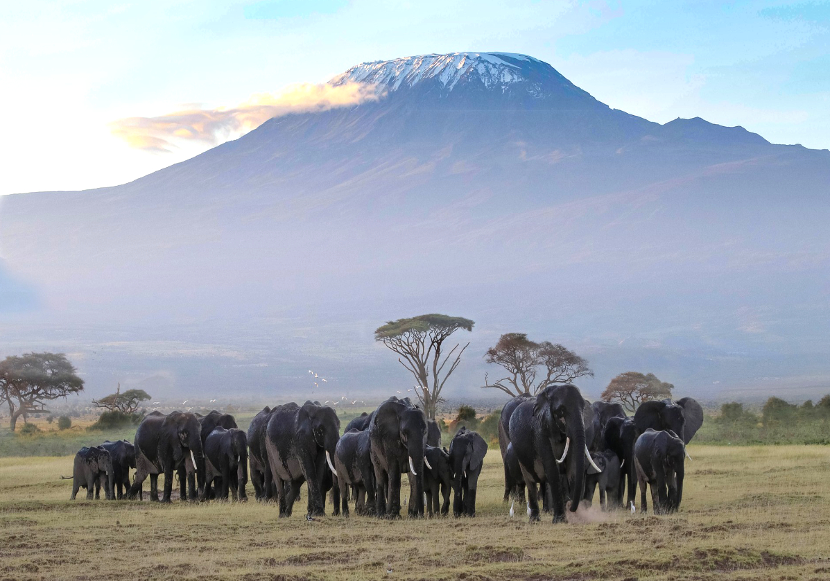 Parc national d’Amboseli