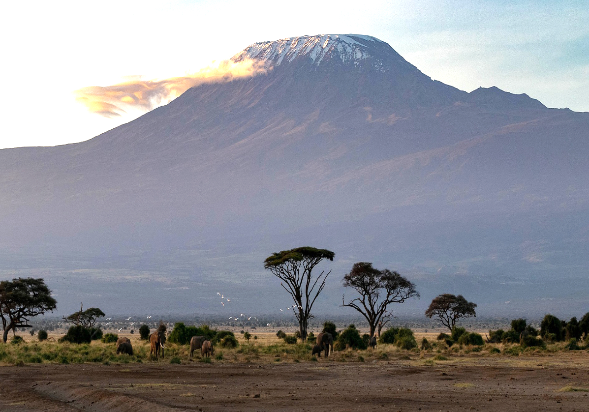 Kilimanjaro et parc Amboseli