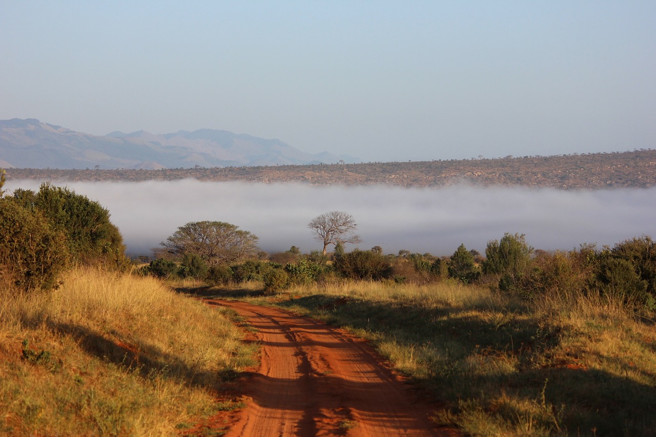 Piste dans le parc de Tsavo, safari au Kenya avec Nirvatravel