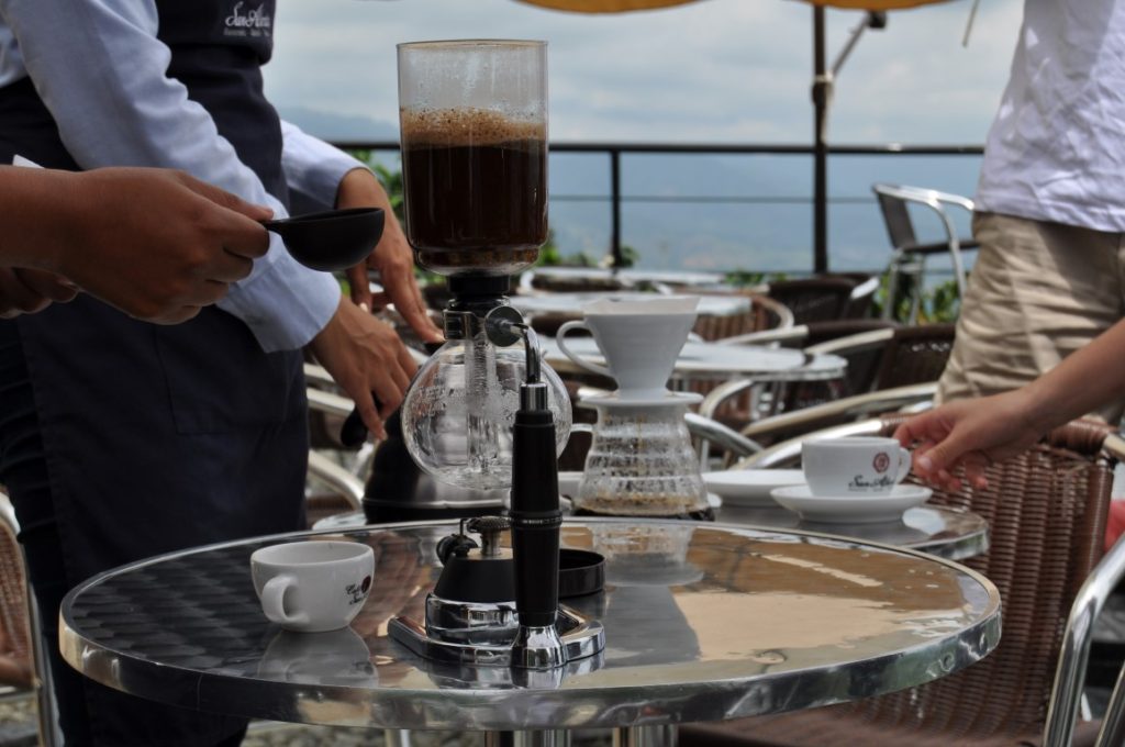 Viiste d'une plantation de café à la Terrazza San Alberto