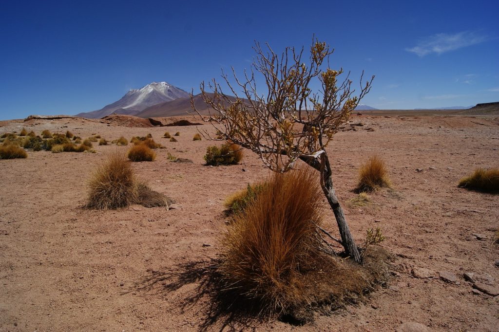 San Pedro de Quemez - Uyuni