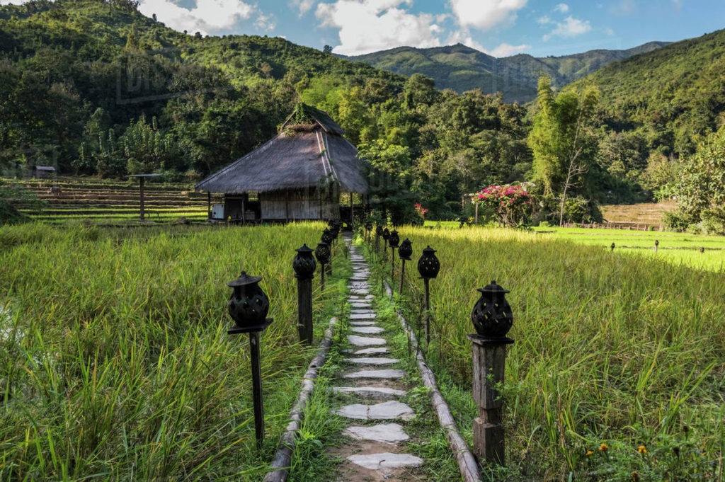 Arrivée au Kamu Lodge