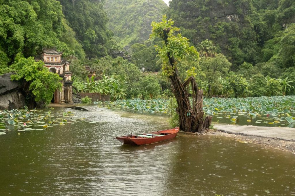 Découverte de la réserve naturelle Van Long à Ninh Binh 
