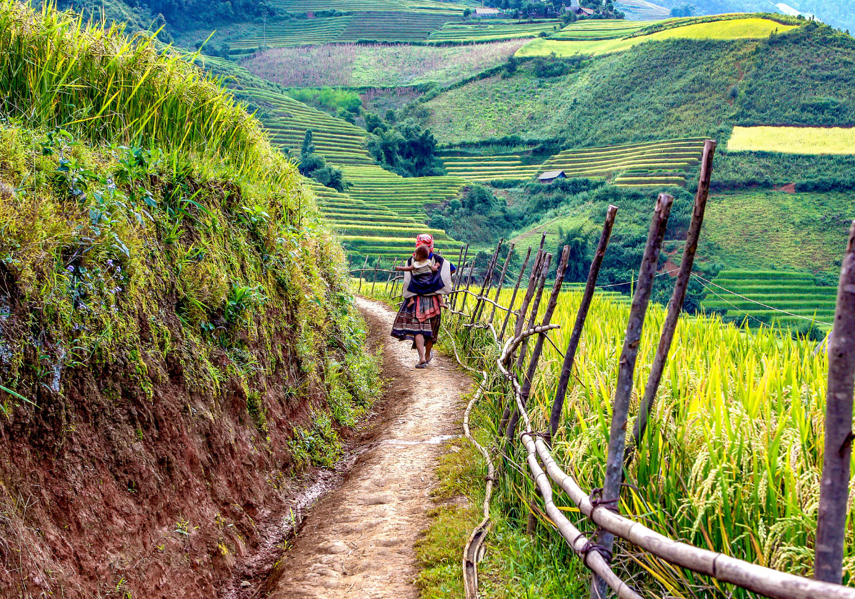 Paysages de Lao Cai à la rencontre des minorités, partir au Vietnam avec une agence Nirvatravel