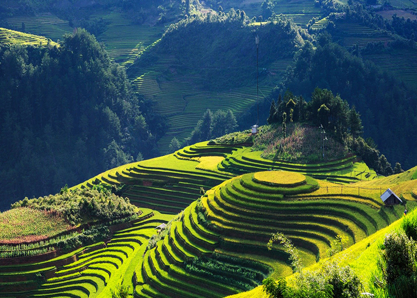 Rizières en terrasses de Mu Cang Chai, randonnée au Vietnam avec Nirvatravel