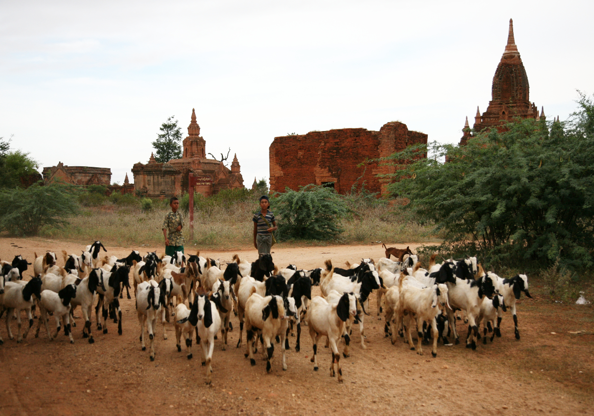 Le village de Minnanthu à Bagan
