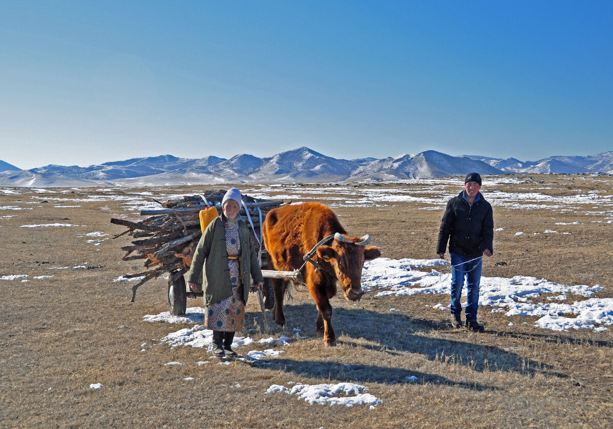 Traversée de la rivière en char à boeufs