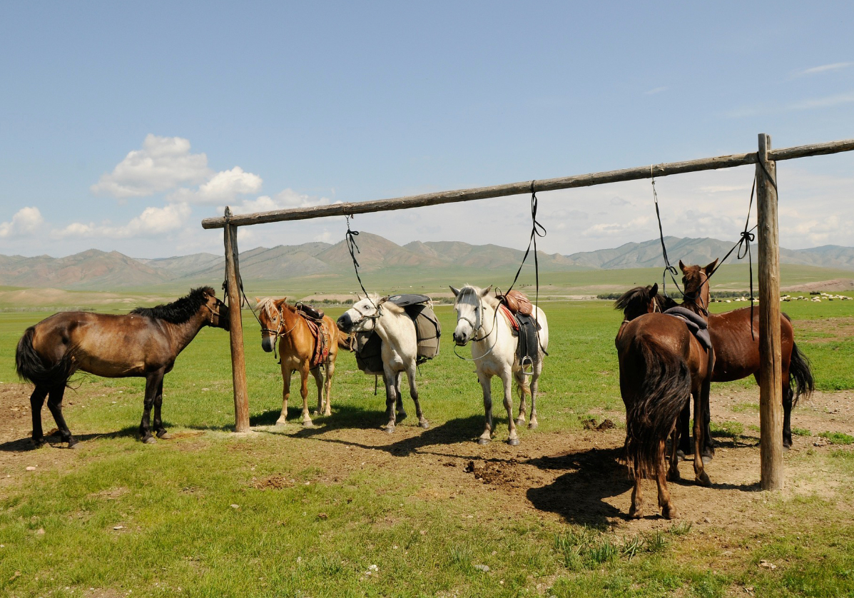 Balade à cheval dans les steppes mongoles