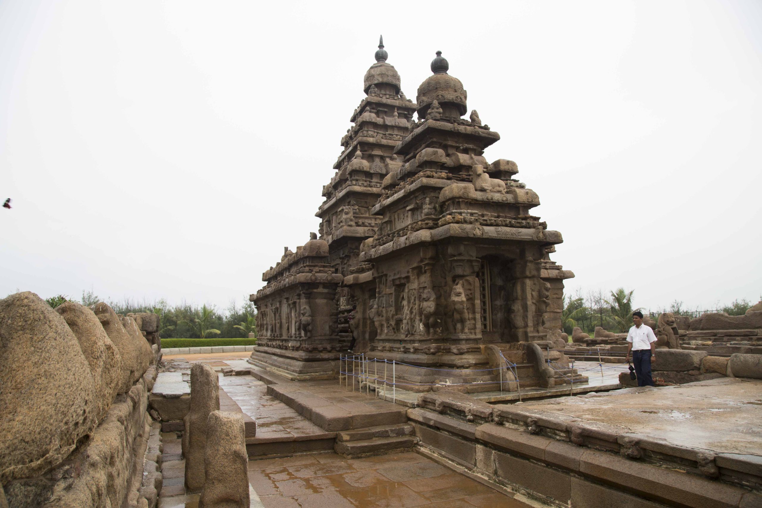 Découverte des temples de Mahäbalipuram