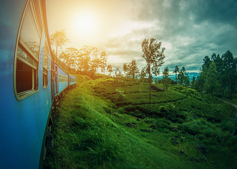 Le train de Ella dans les plantations de thé, voyage au Sri Lanka avec Nirvatravel