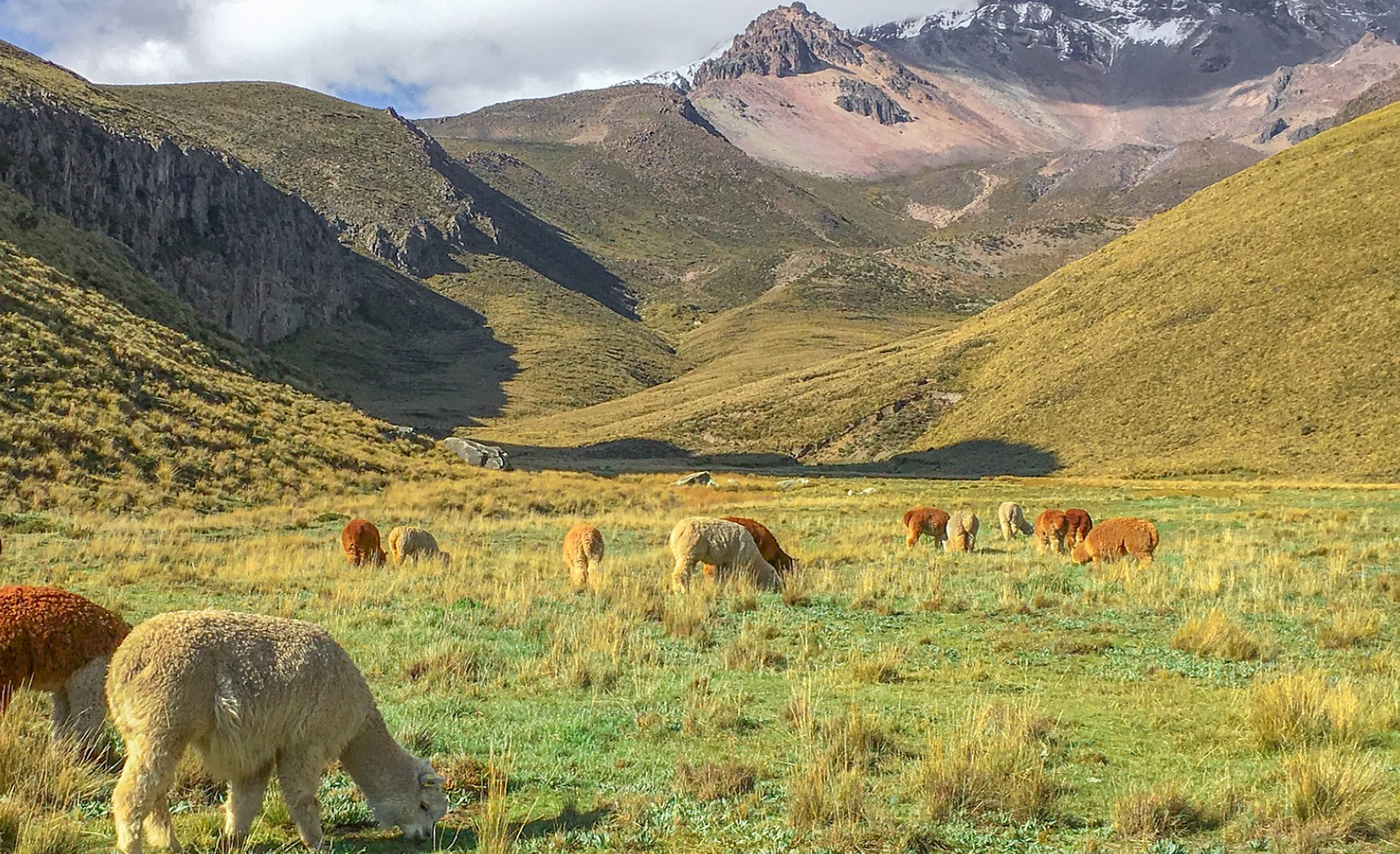 Cordillère des Andes et Amazonie