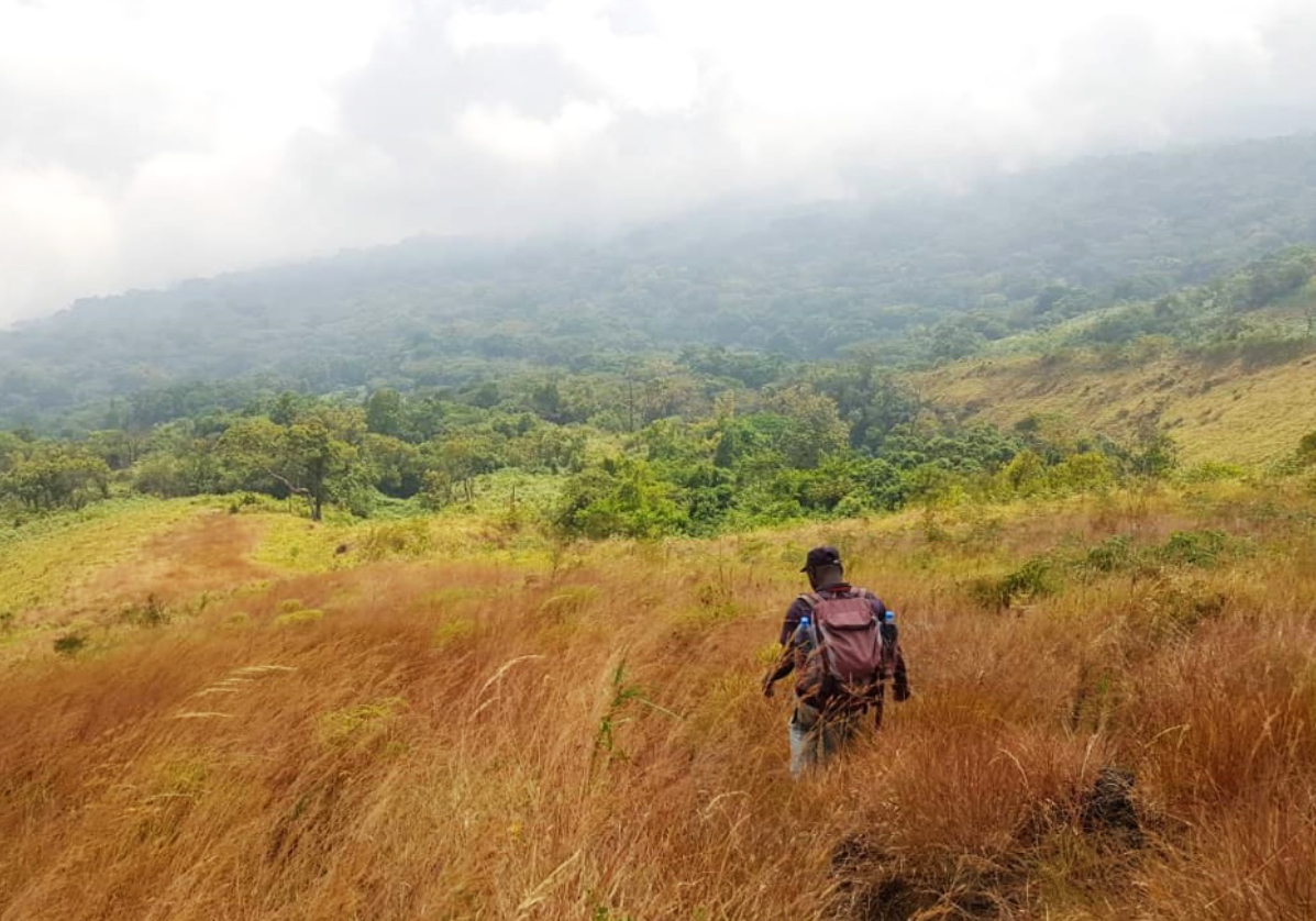 Voyage Cameroun  Randonnée et trek Cameroun