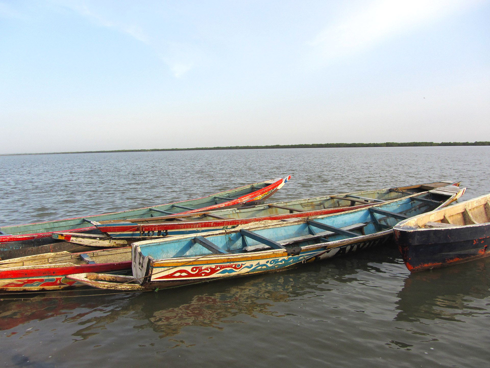 Pirogues sur le fleuve en Casamance, voyage au Sénégal avec une agence Nirvatravel