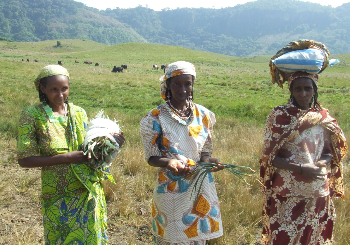 Rencontre avec les Bamilikés, randonnée au Cameroun avec Nirvatravel