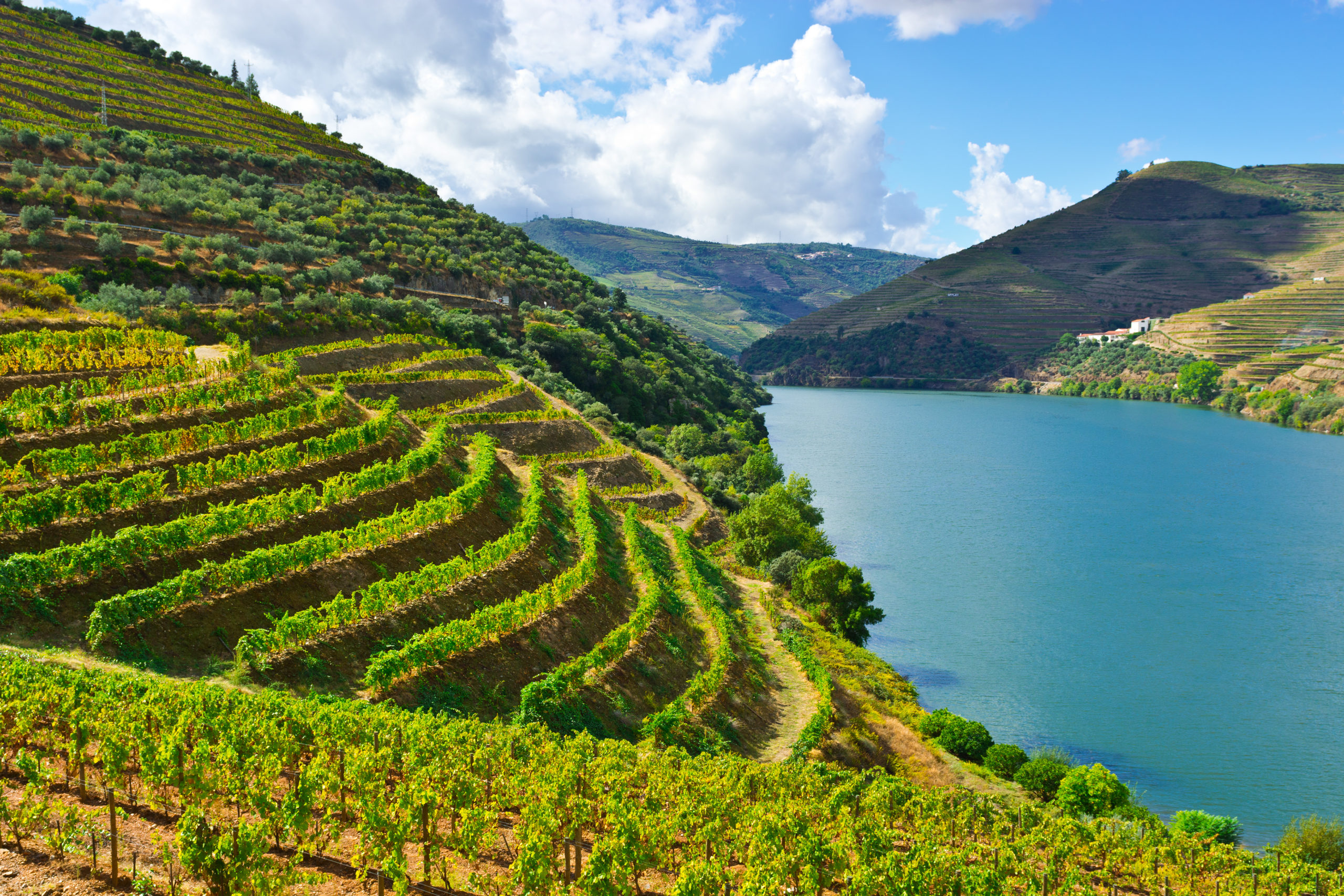 Vignobles de la vallée du Douro, voyage au Portugal avec une agence Nirvatravel