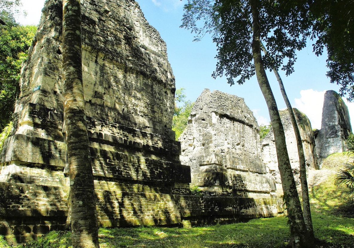 Découverte du site maya El Ceibal