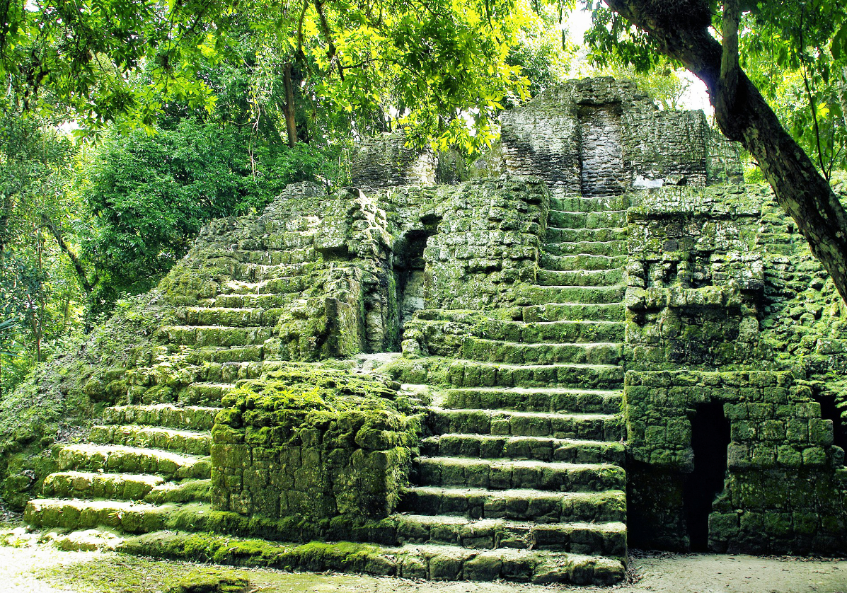 Découverte des pyramides de Tikal 