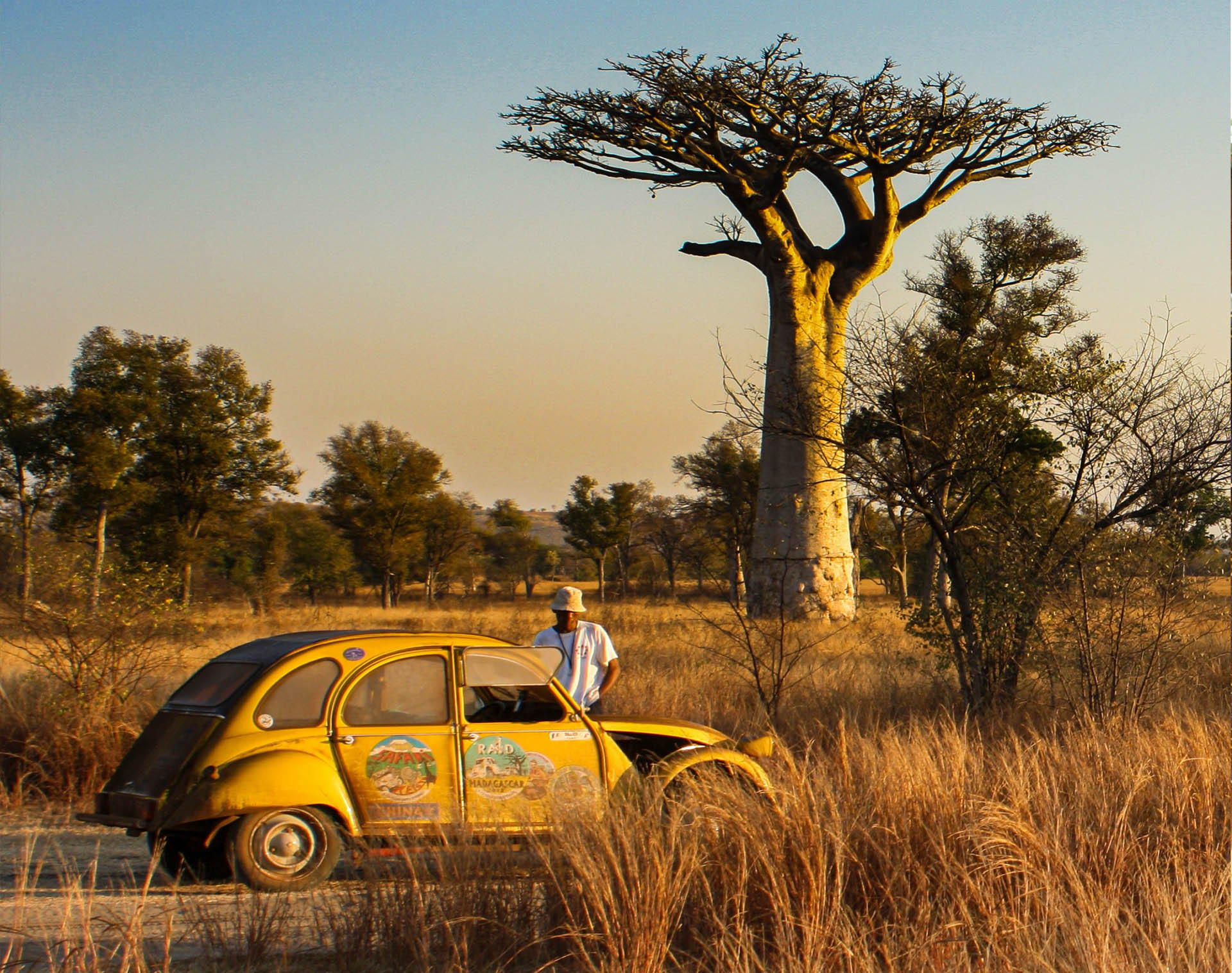 Allées des Baobabs à Morondava à Madagascar, voyage hors des sentiers battus Nirvatravel