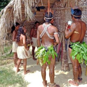Amazonie colombienne