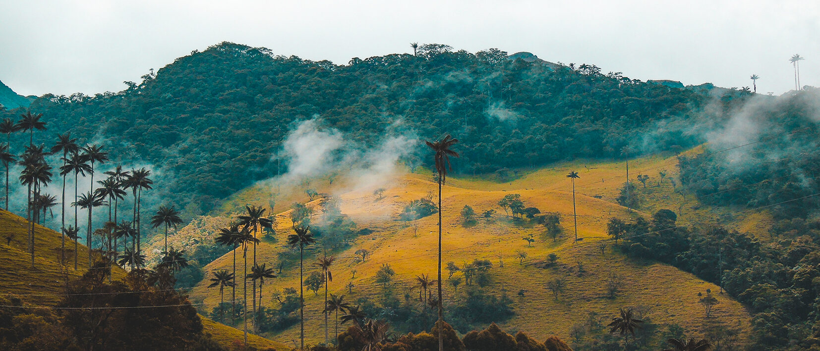 Colombie