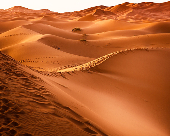 Dunes ocres du Sahara dans le Sud marocain, voyage au Maroc avec Nirvatravel