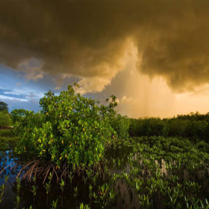 Casamance