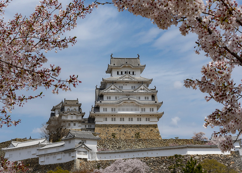 Visite du château de Himeji