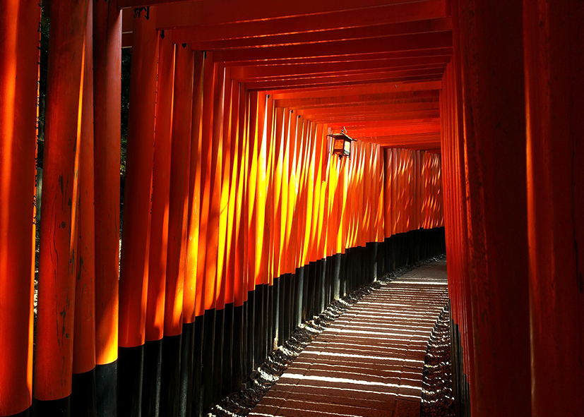 Sanctuaire de Fushimi Inari et parc de Nara